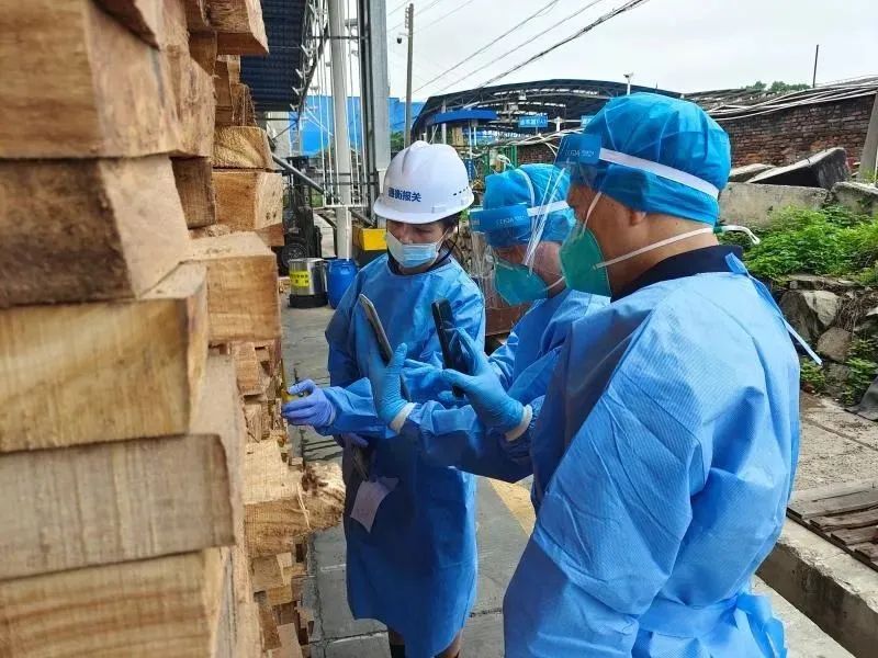 警惕！海关发布重要提醒